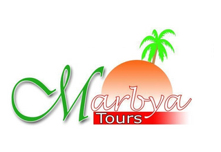 logo 111